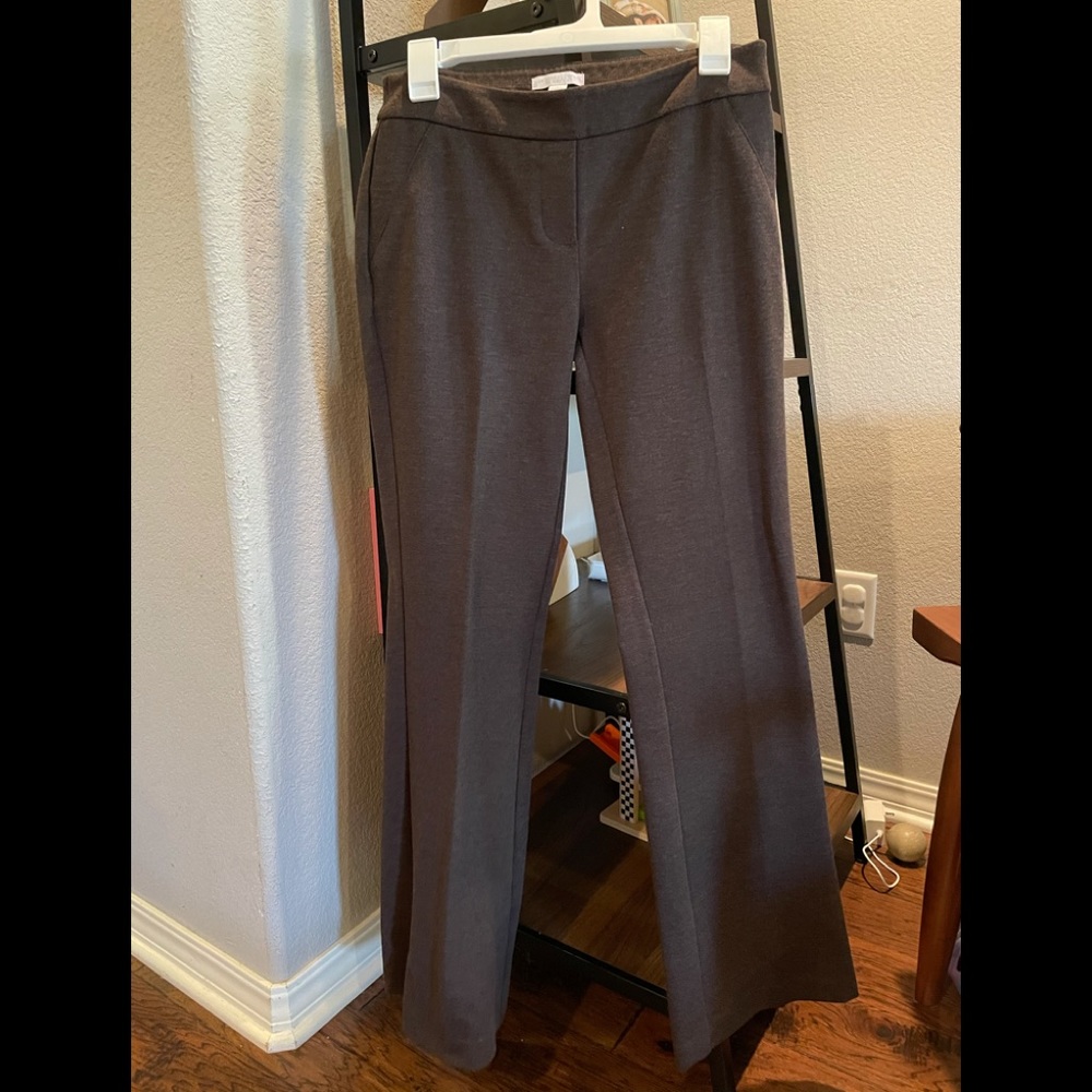 New York and company pants
